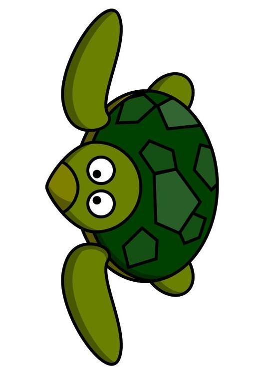 z1-tartaruga
