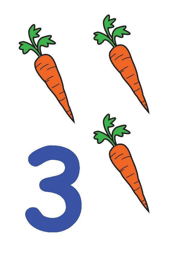 3 imagem 3