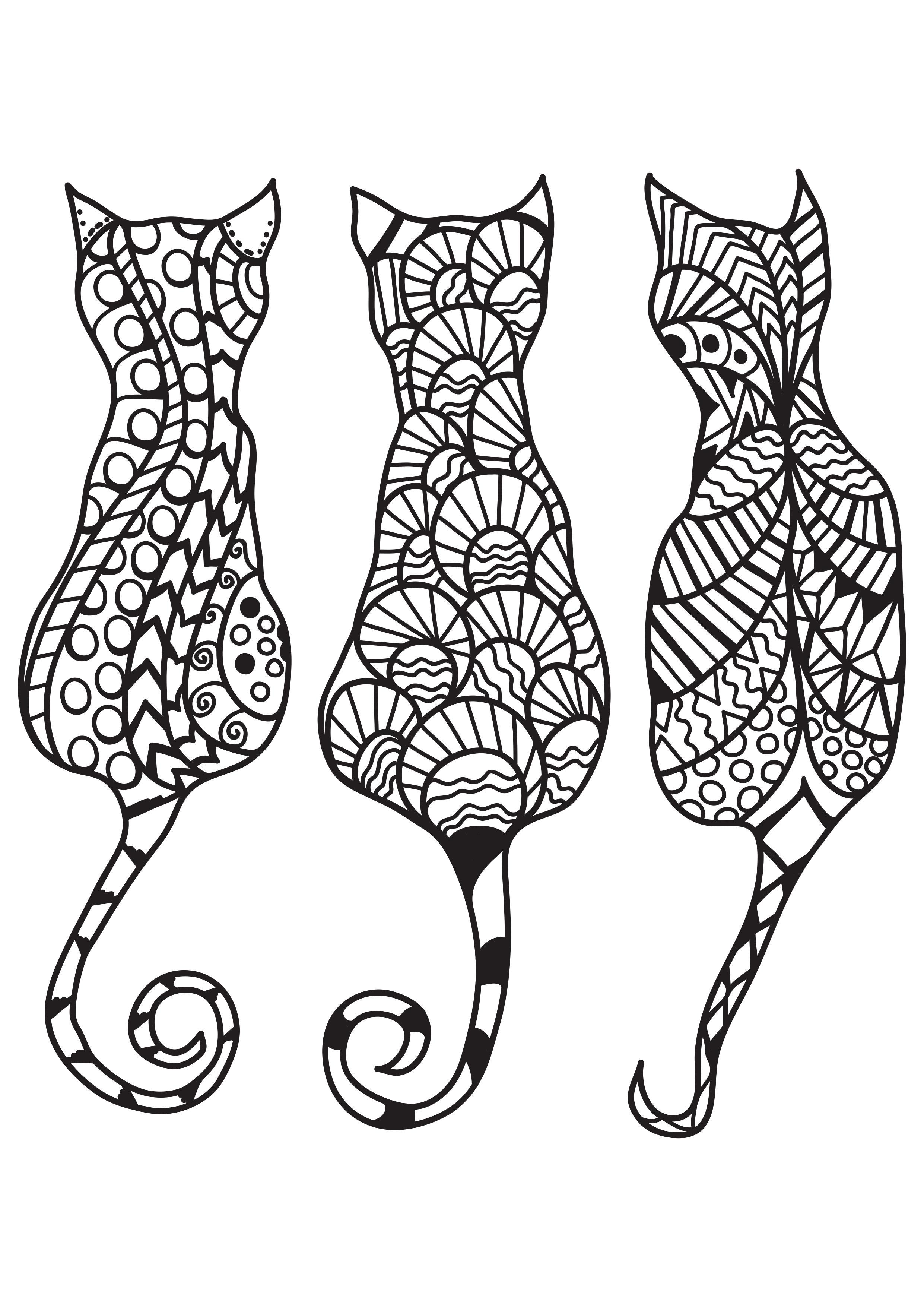 3 gatos Página para colorir 3 gatos