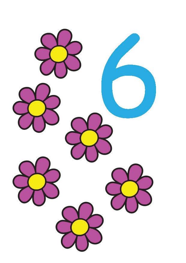 6 imagem 6