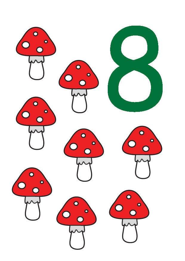 8 imagem 8