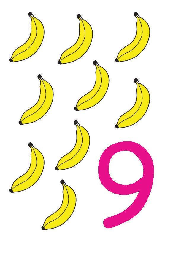 9 imagem 9