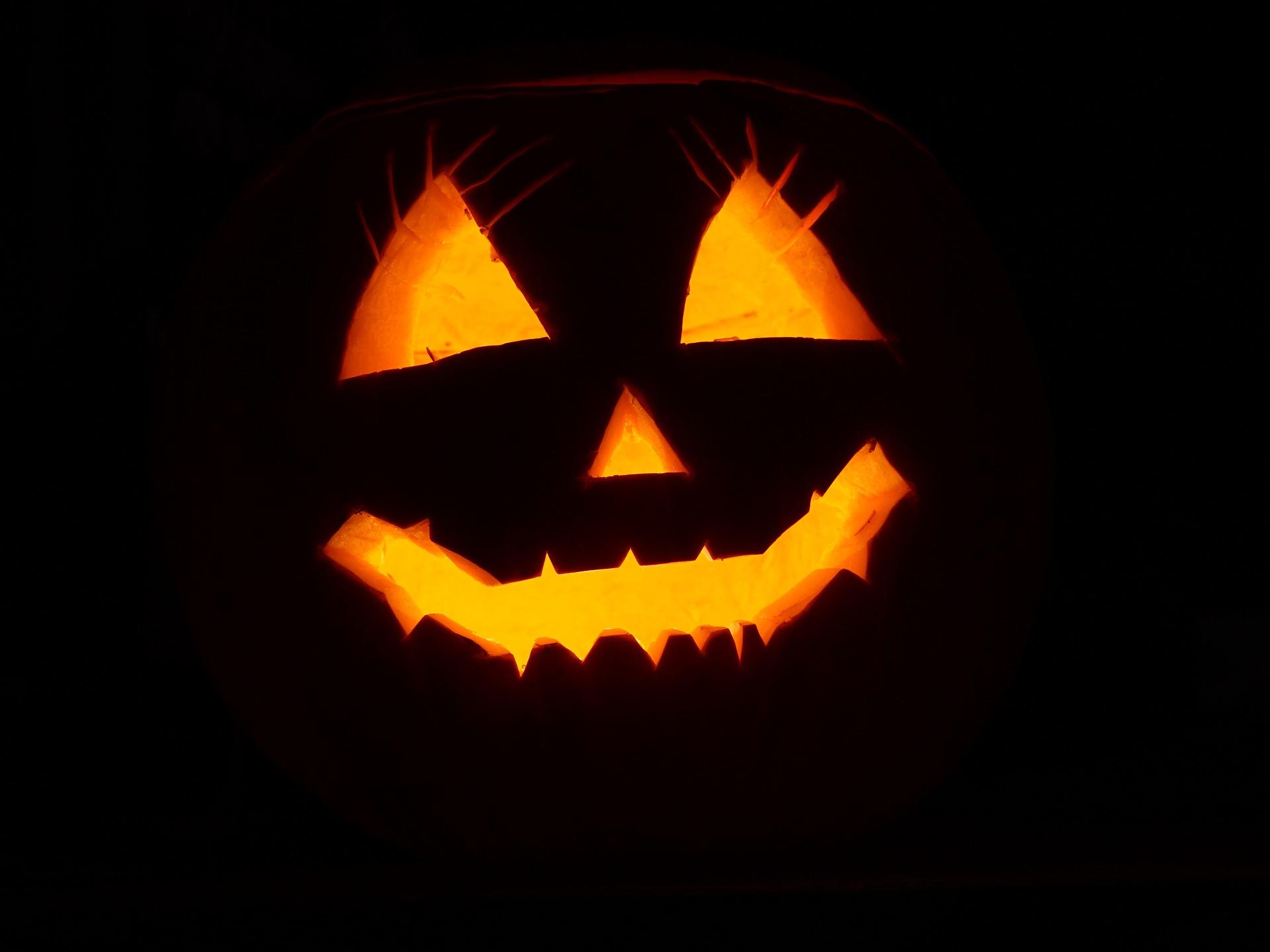 abobora de halloween Foto abobora de halloween