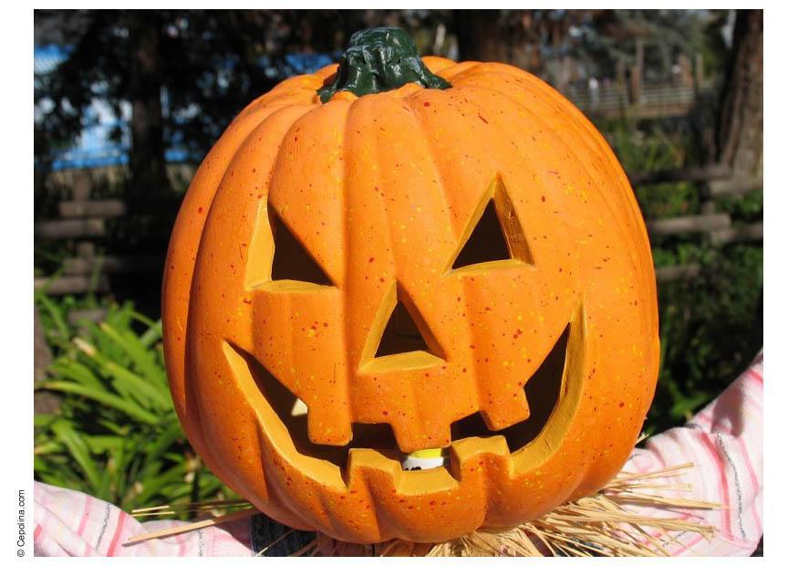 Foto abA³bora de halloween