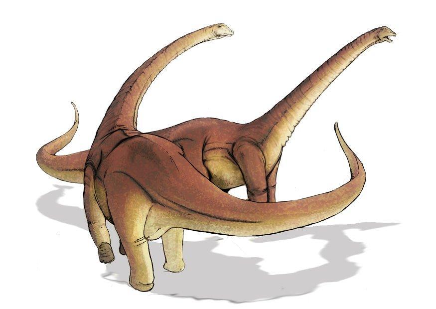alamosaurus imagem alamosaurus