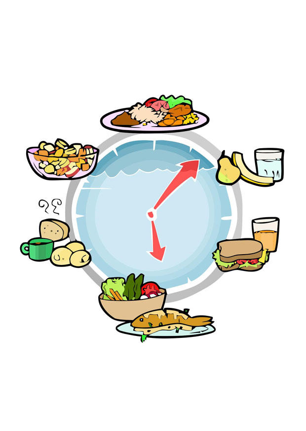 alimentos diA¡rios imagem alimentos diA¡rios