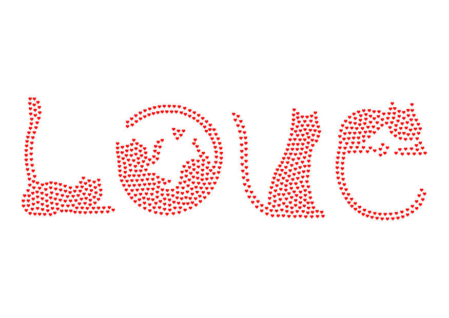 amor - gatos imagem amor - gatos
