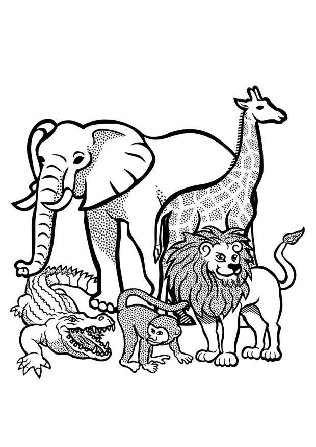 animais selvagens Página para colorir animais selvagens