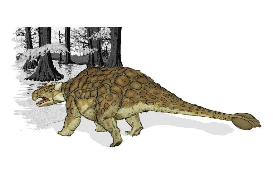 ankylosaurus imagem ankylosaurus