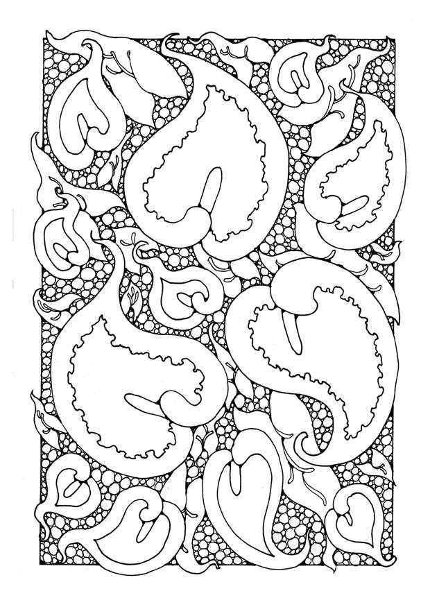 arA¡ceas Página para colorir arA¡ceas