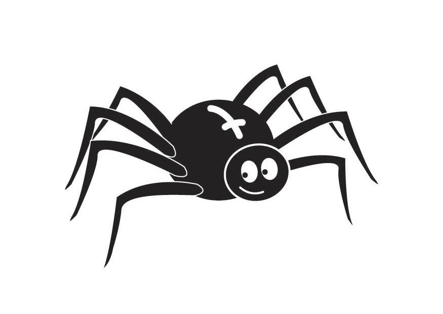 aranha Página para colorir aranha