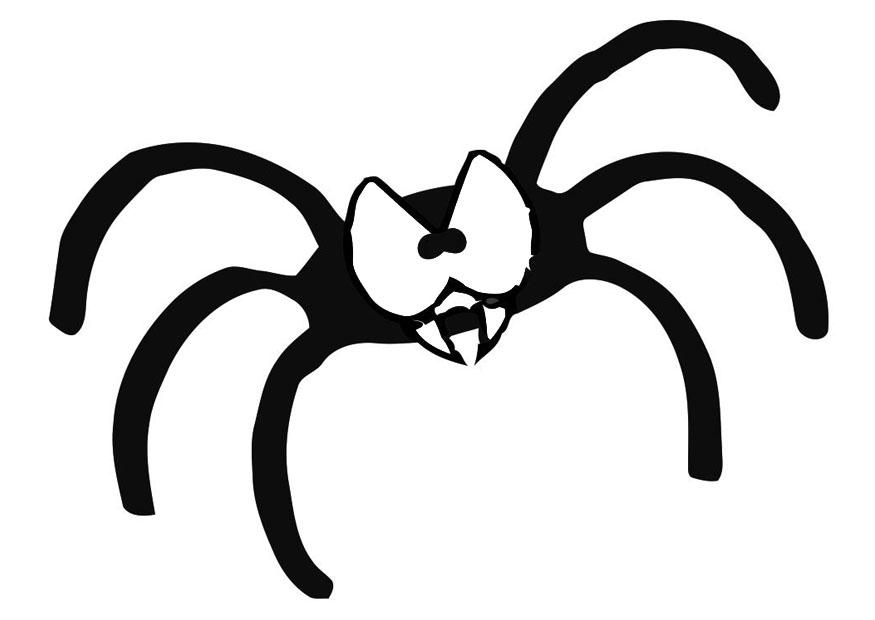 aranha Página para colorir aranha