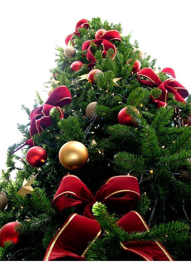 Foto A¡rvore de natal