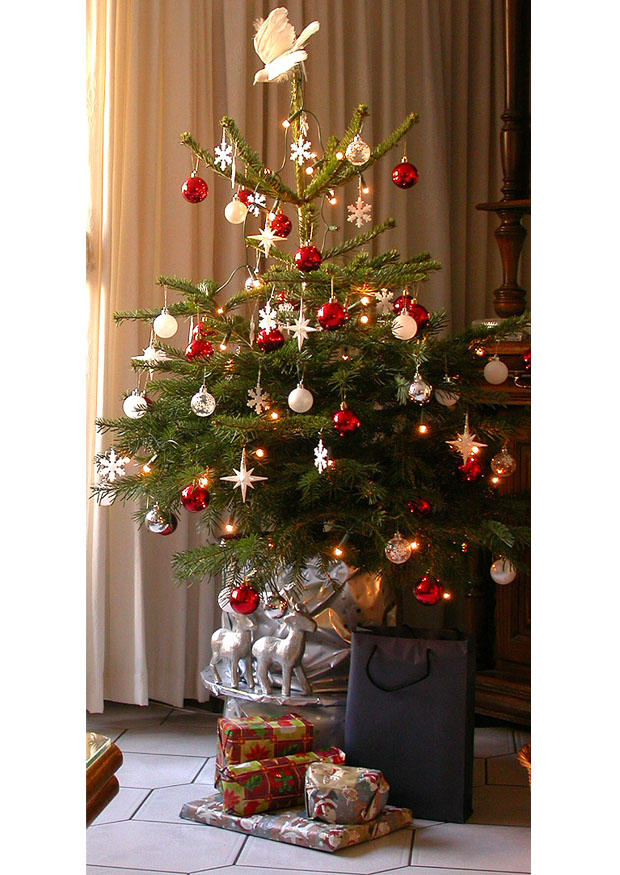 Foto A¡rvore de natal