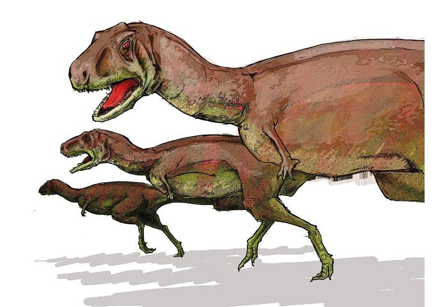 aucasaurus imagem aucasaurus