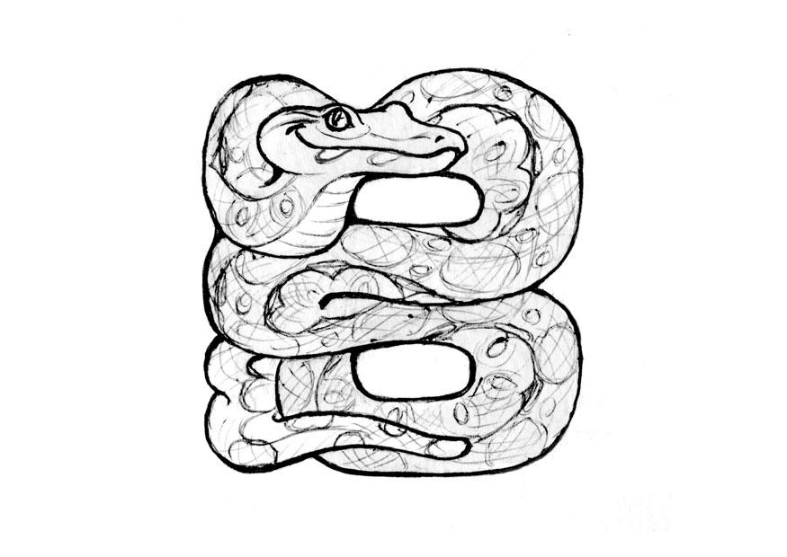 b-boa Página para colorir b-boa