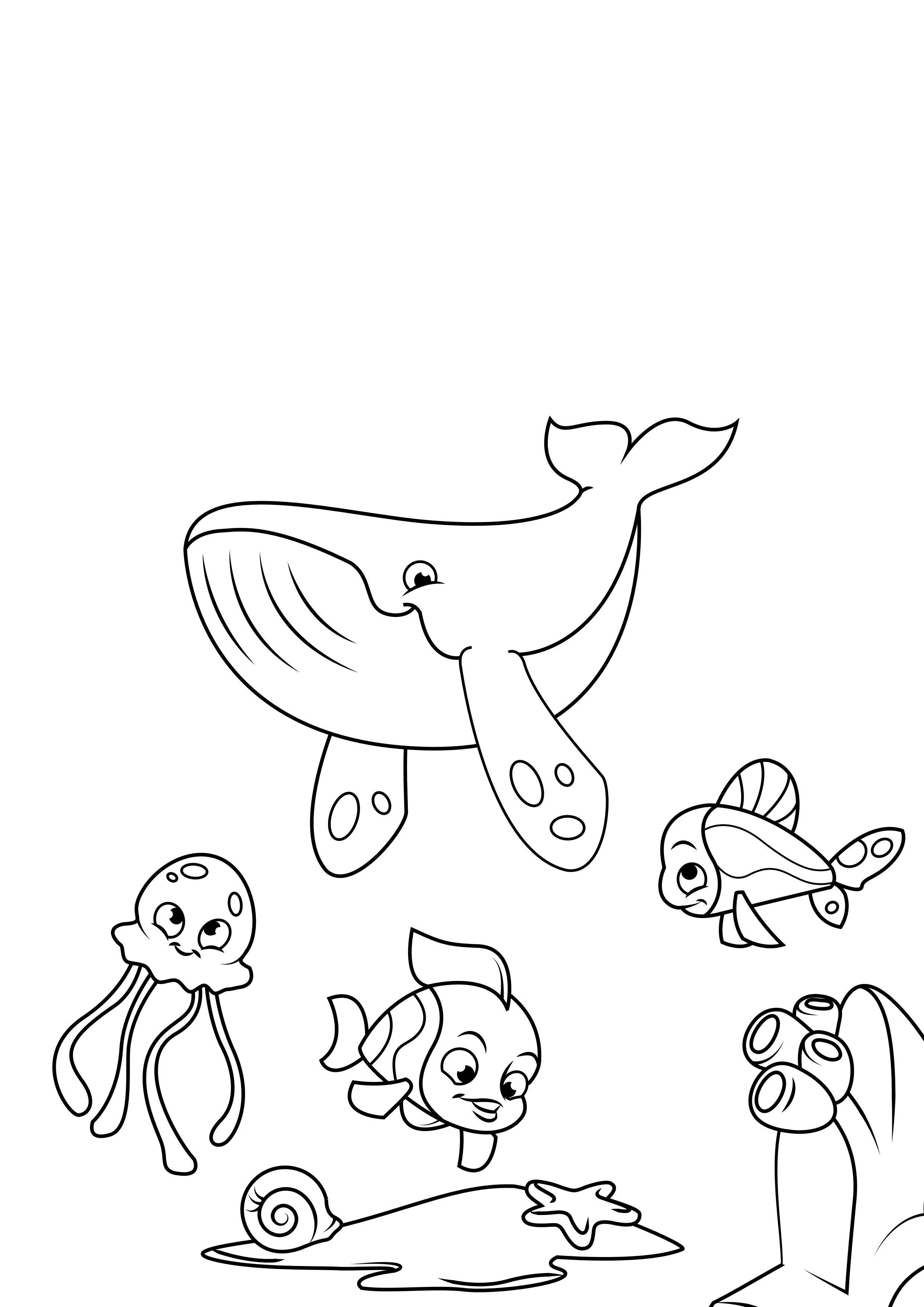 baleia polvo e peixe Página para colorir baleia polvo e peixe