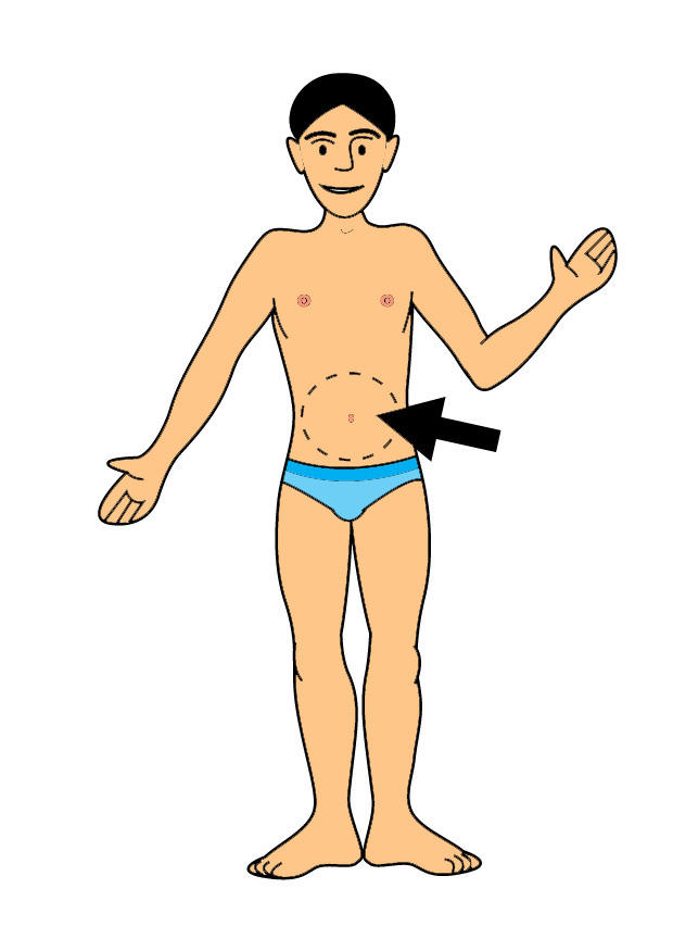 barriga imagem barriga