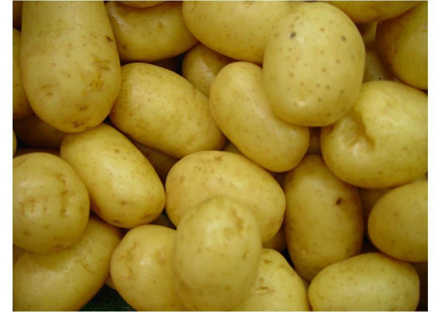 batatas Foto batatas