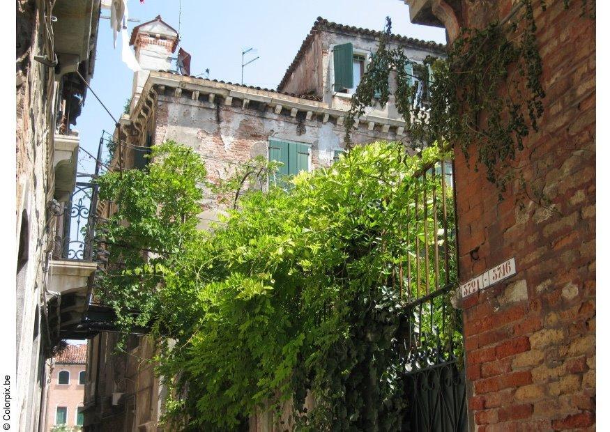 beco na cidade Foto beco na cidade
