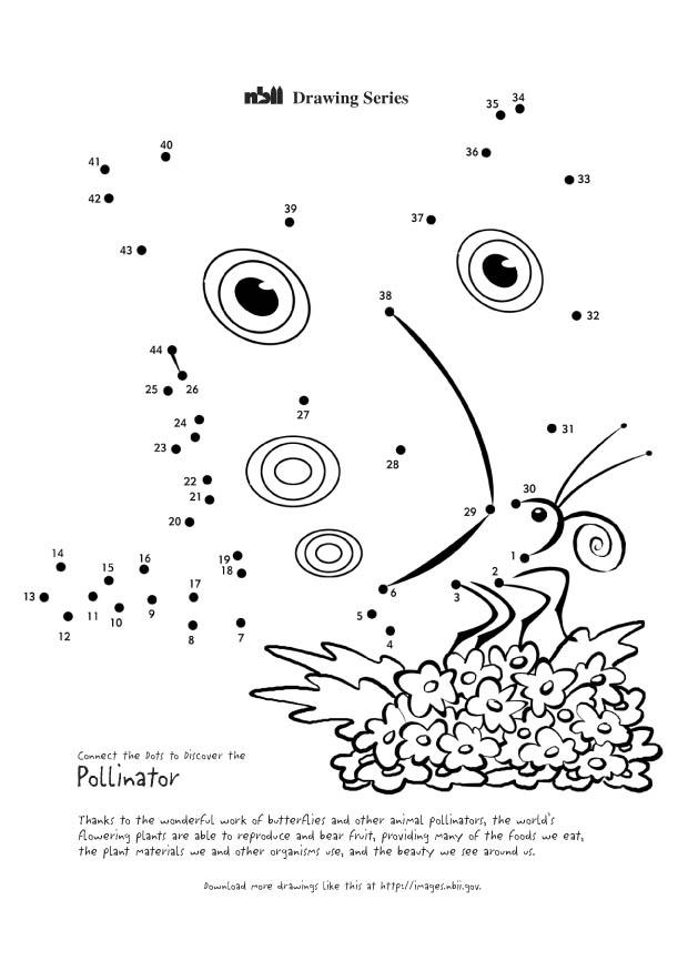 borboleta Página para colorir borboleta