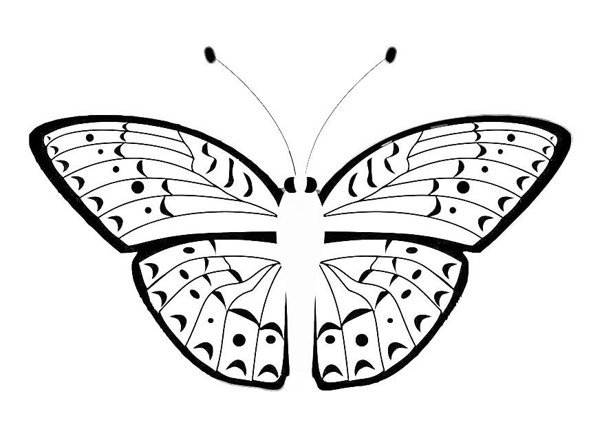 borboleta Página para colorir borboleta