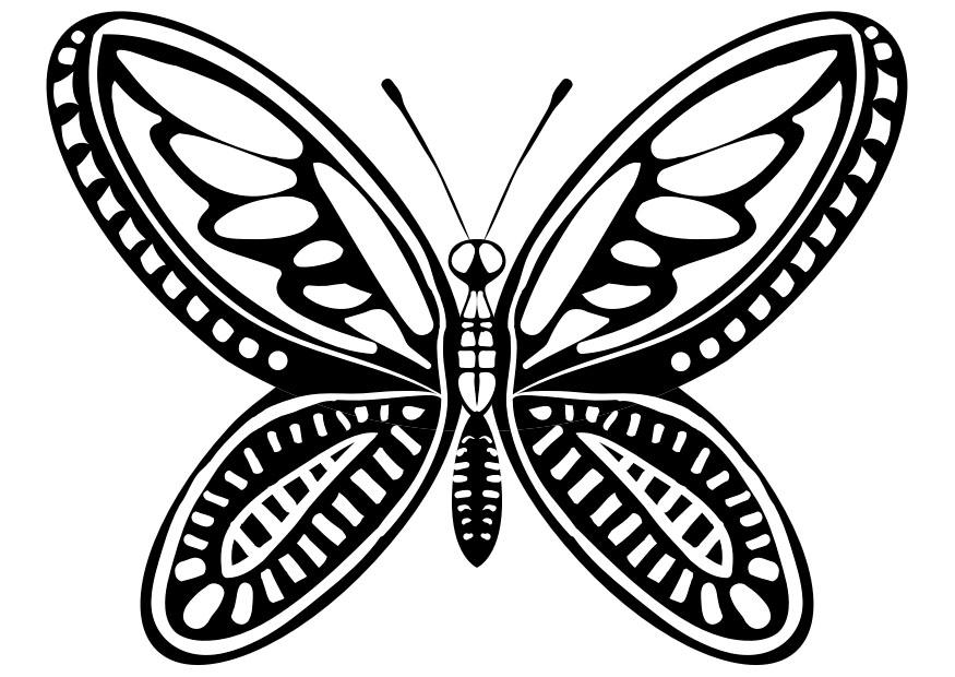Página para colorir borboleta