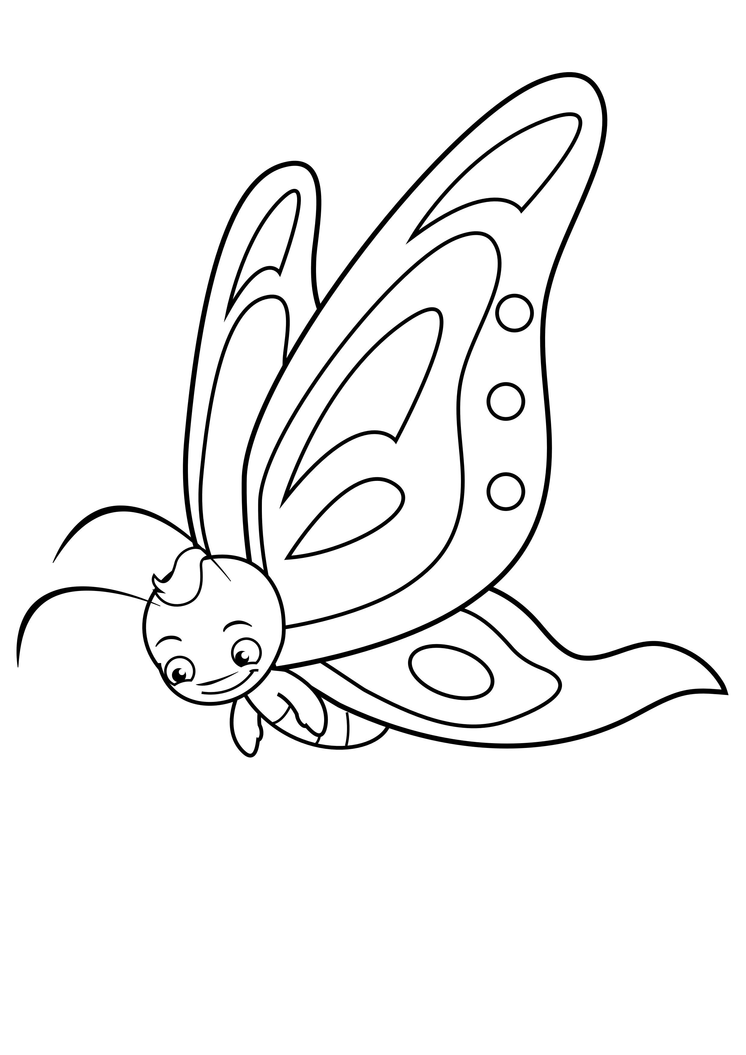 borboleta Página para colorir borboleta