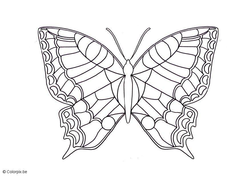 borboleta Página para colorir borboleta