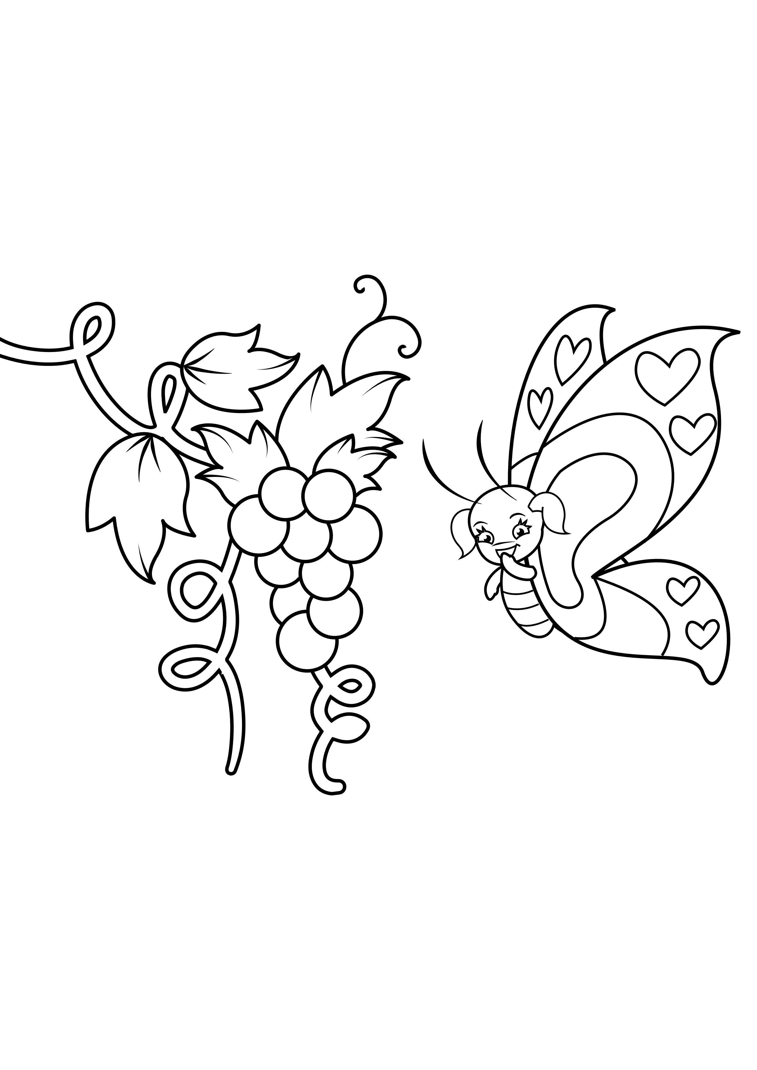 borboleta em uvas Página para colorir borboleta em uvas