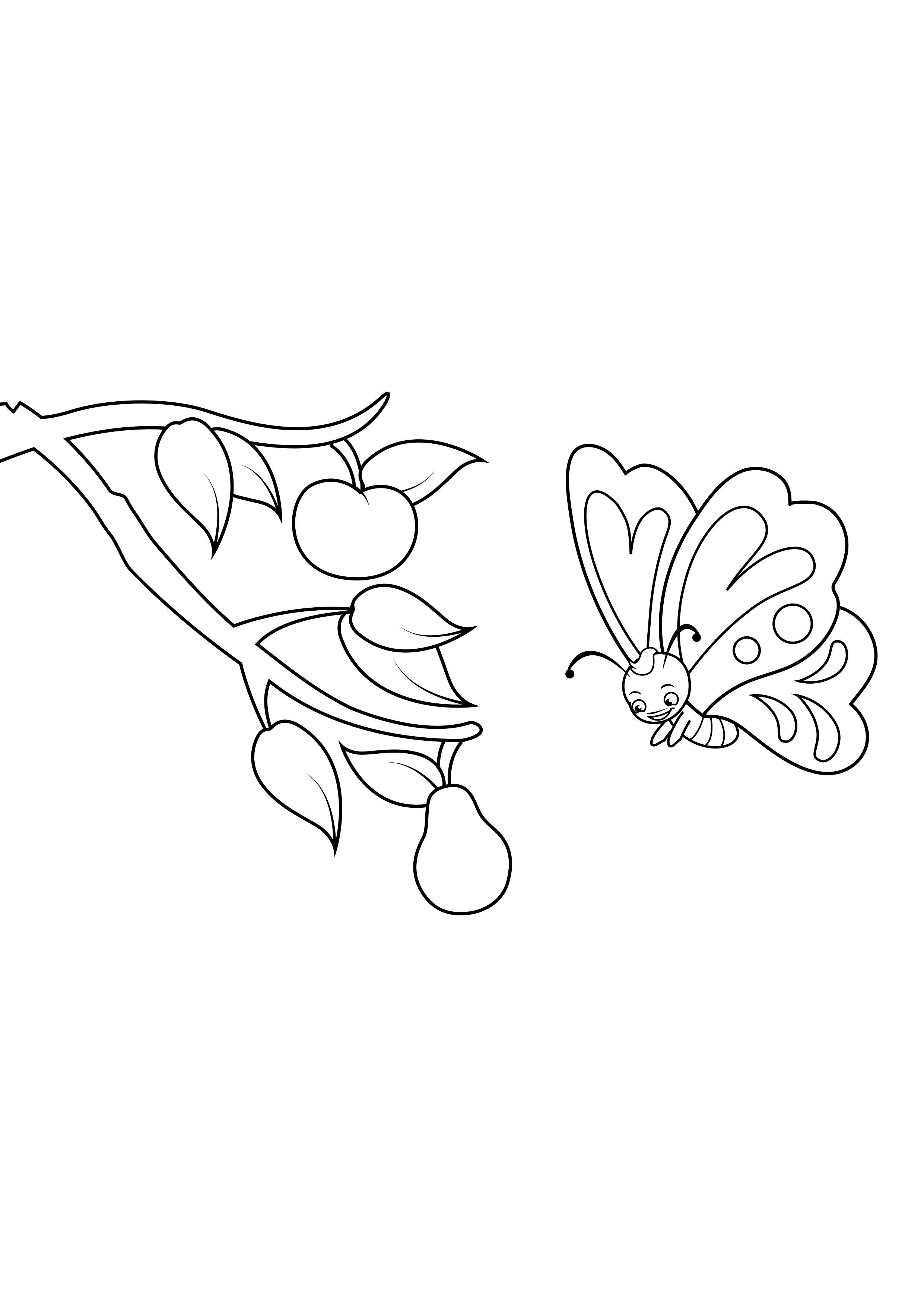 borboleta vAª pAªra Página para colorir borboleta vAª pAªra