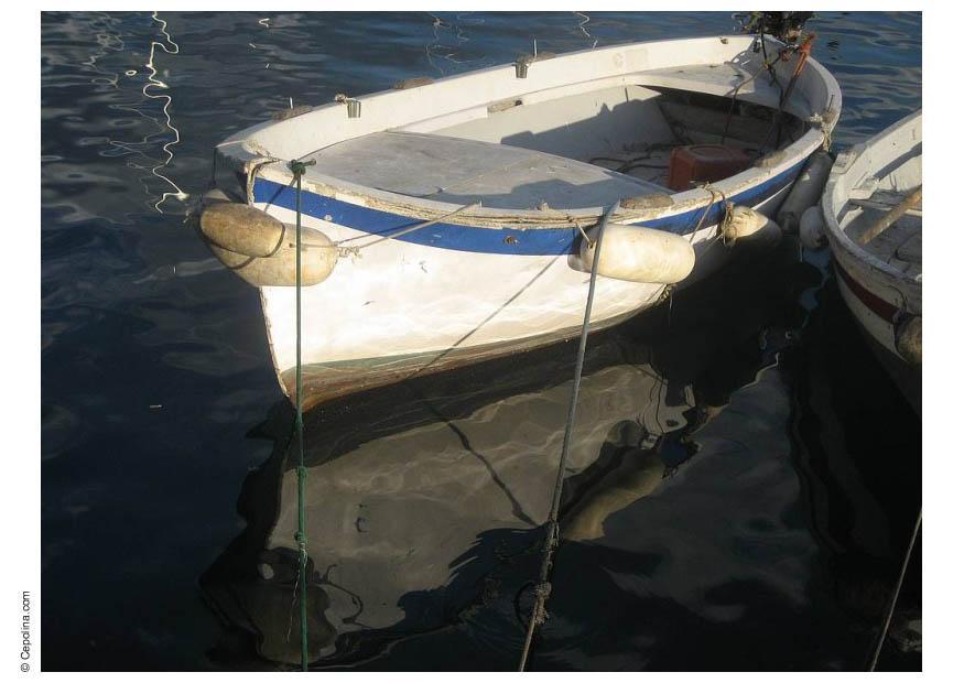 bote Foto bote