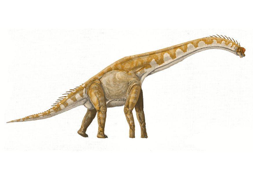 brachiosaurus imagem brachiosaurus