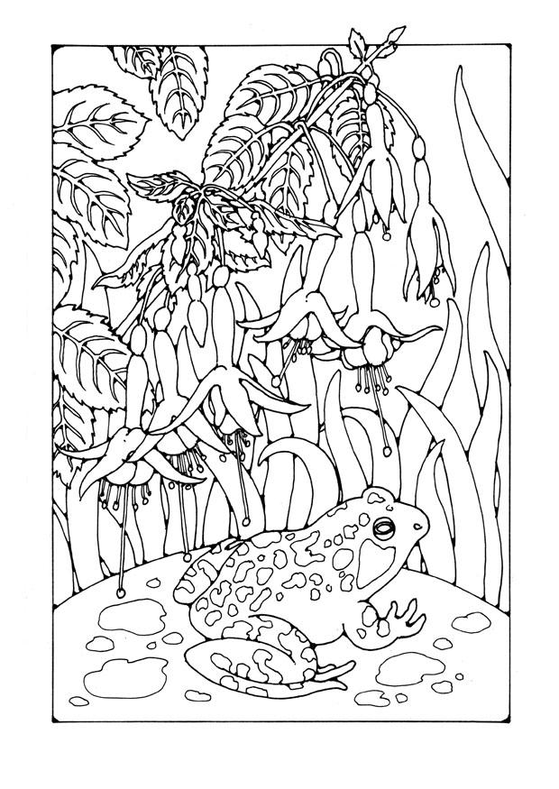 brinco de princesa com um sapo Página para colorir brinco de princesa com um sapo