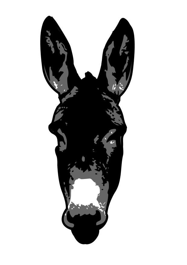 burro imagem burro