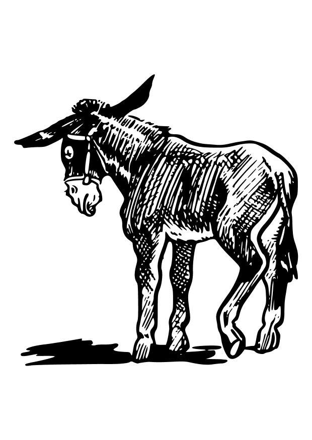 burro Página para colorir burro