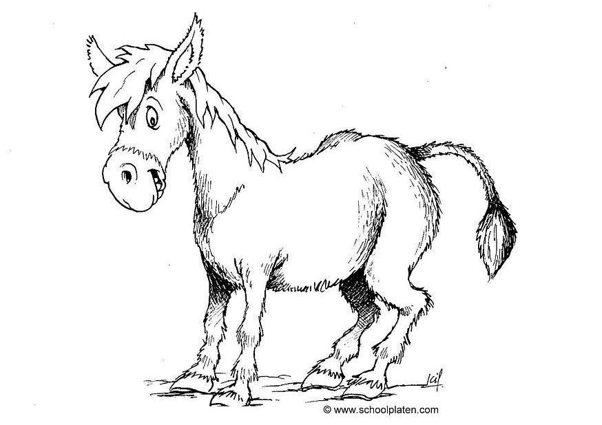 burro Página para colorir burro