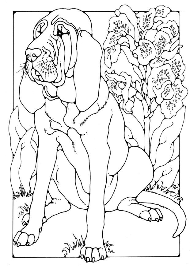 cA£o de santo humberto Página para colorir cA£o de santo humberto