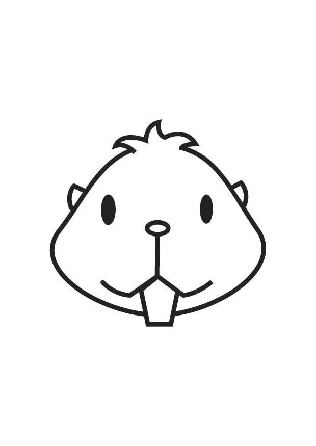 cabeA§a de hamster Página para colorir cabeA§a de hamster