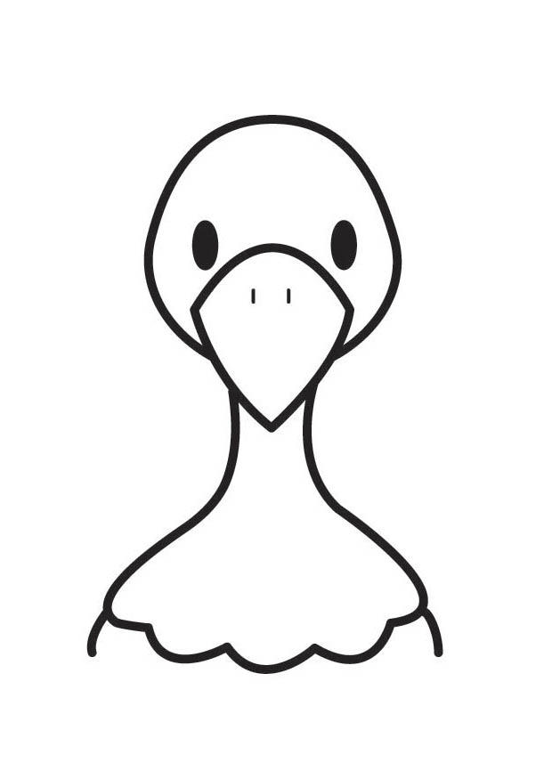 cabeA§a de pombo Página para colorir cabeA§a de pombo
