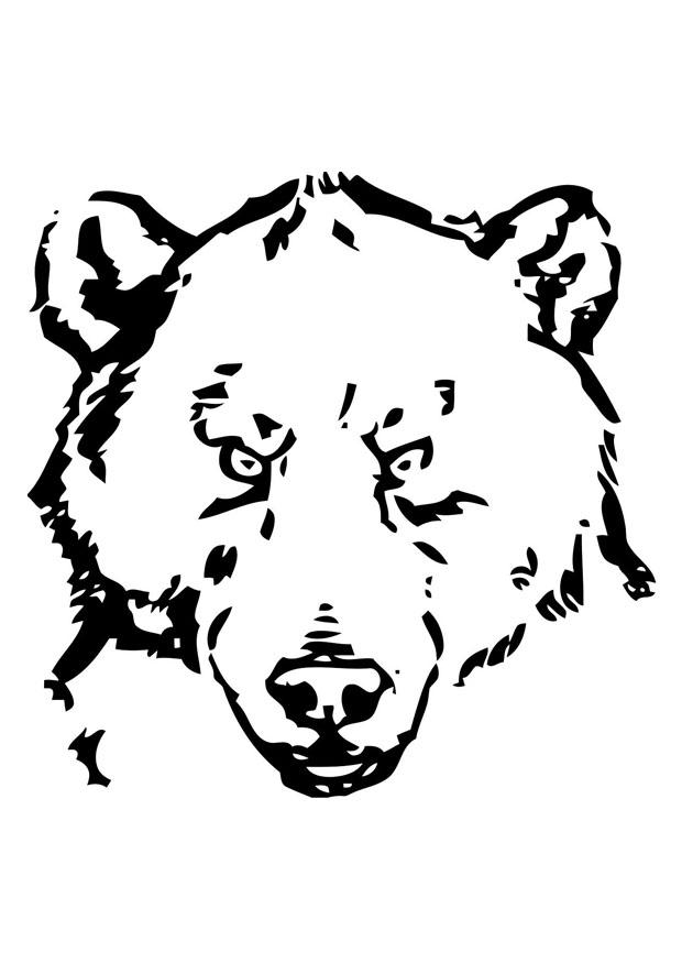 cabeA§a de urso Página para colorir cabeA§a de urso