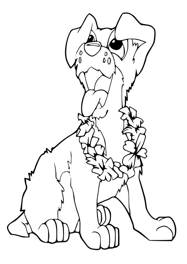 cachorrinho Página para colorir cachorrinho