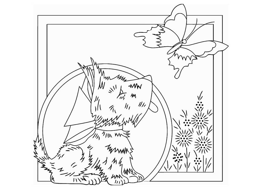 cachorrinho com uma borboleta Página para colorir cachorrinho com uma borboleta