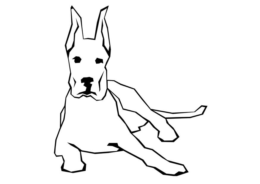 cachorro Página para colorir cachorro