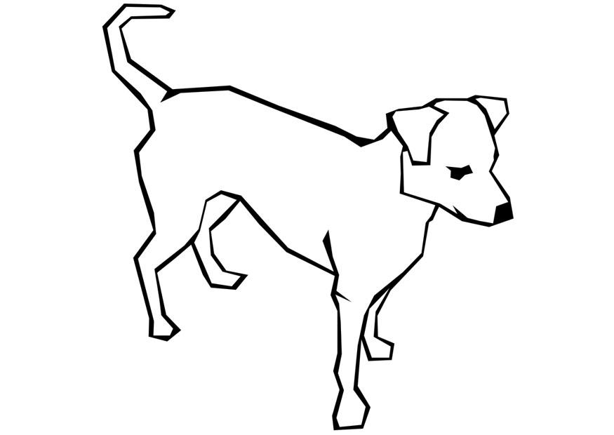 cachorro Página para colorir cachorro