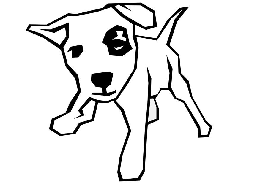 cachorro Página para colorir cachorro