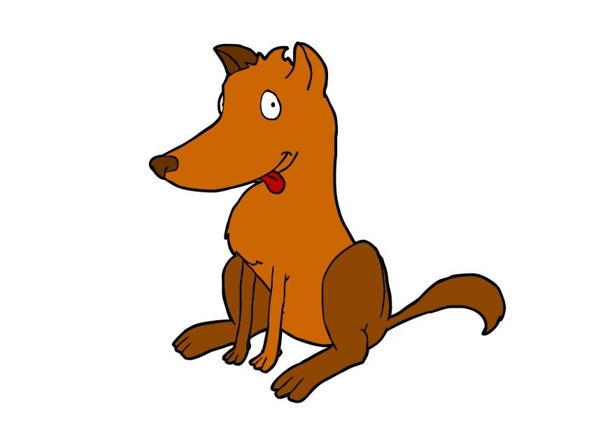 cachorro imagem cachorro