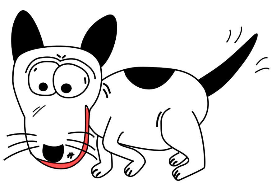 cachorro imagem cachorro