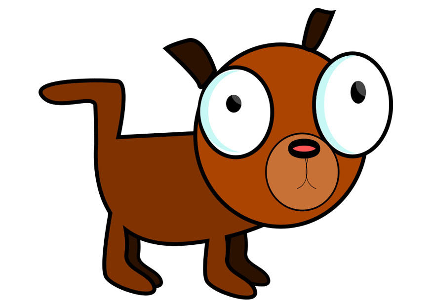 cachorro imagem cachorro