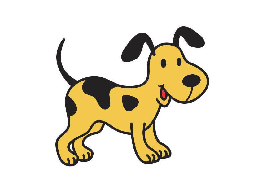 cachorro imagem cachorro